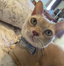 Photo of Bingo