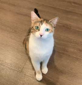 Photo of Chloe