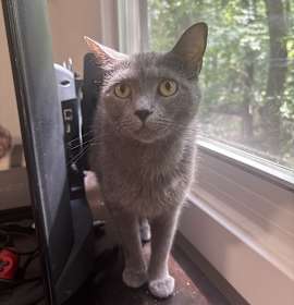 Photo of Misha