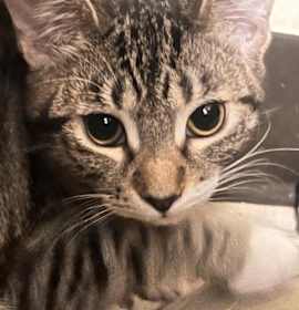 Photo of Miss