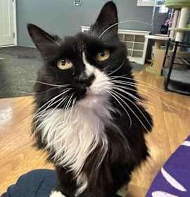 Photo of Baby Old Lady (ask to meet me)