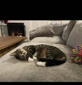 Photo of Tess