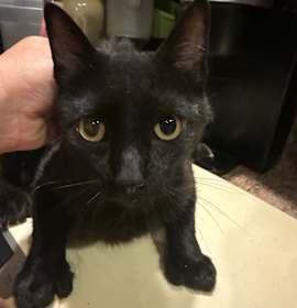 Photo of Thumbs McGee