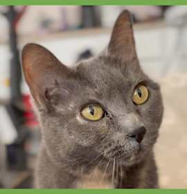 Photo of Stormy