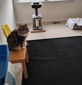 Photo of Charlie