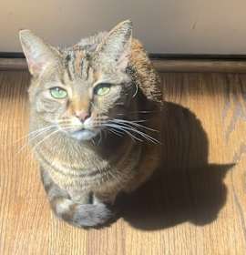 Photo of Coco