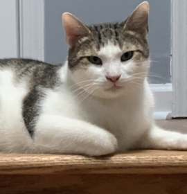 Photo of Sailor