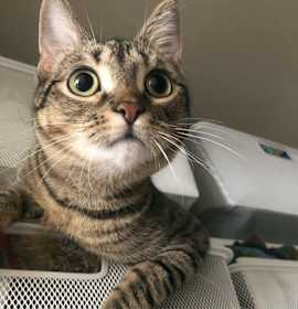 Photo of Trudy