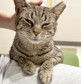 Photo of Minnie Cobb