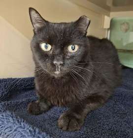 Photo of Cecil AND Molly