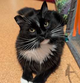 Photo of Ralphie