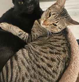 Photo of Churro & Pepito