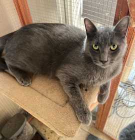 Photo of Handsome BP Boy