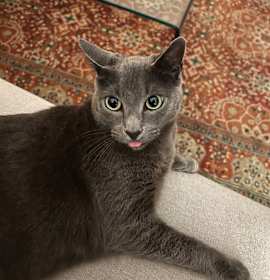 Photo of Kiki