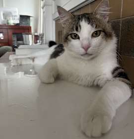 Photo of Broadway- I did not name him