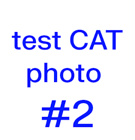 Photo of AAPK-Stray-1