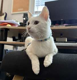 Photo of Kevin