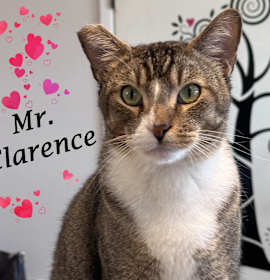 Photo of MR. CLARENCE
