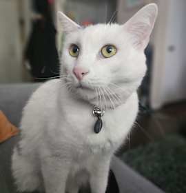 Photo of Elliot