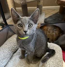 Photo of Karlas Boy 2