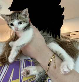 Photo of Jellybean