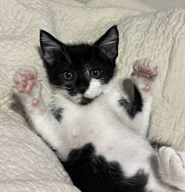 Photo of Fossil Fuel