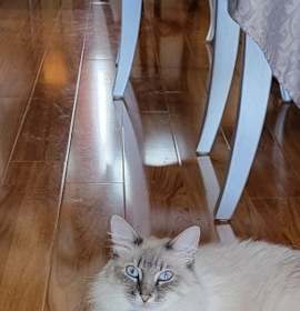 Photo of Zora