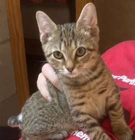 Photo of Rochester25