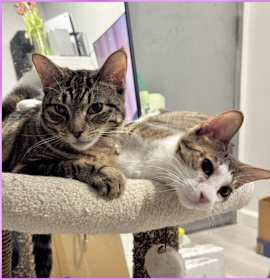 Photo of Tiana and Belle