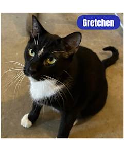 Photo of Gretchen