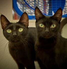 Photo of Thelma&Louise