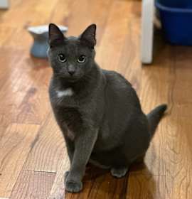 Photo of Nancy