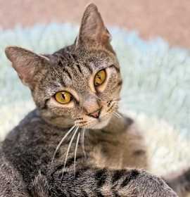 Photo of Momma Harper