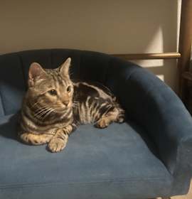 Photo of Spooky