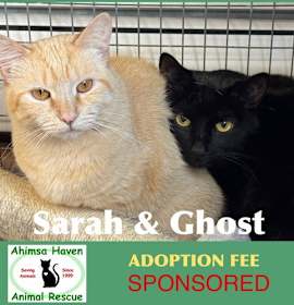 Photo of Ghost & Sarah