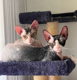 Photo of Thelma and Louise