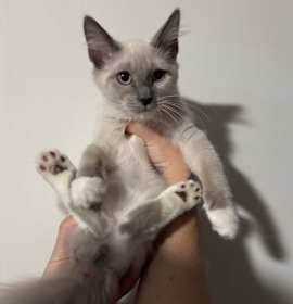Photo of Jasper