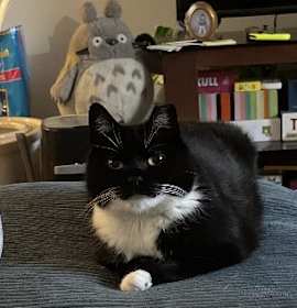 Photo of Penelope Pussycat