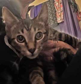 Photo of Billie Holiday