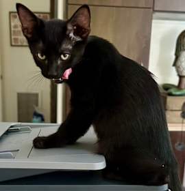 Photo of Monte Cristo