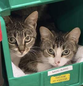 Photo of Phiona & Daisy