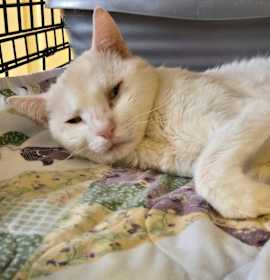 Photo of Mrs. Snowman