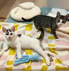 Photo of Tyrian & Unk