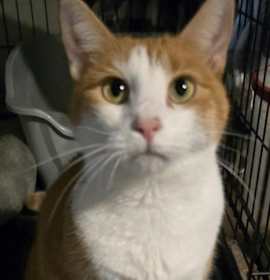 Photo of GiGi (Mary Ann)