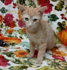 Photo of Belle Grande