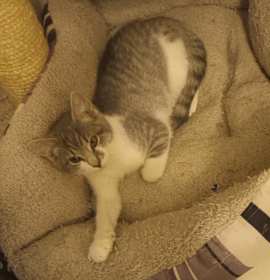 Photo of buffy and crew