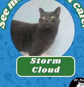 Photo of Storm Cloud