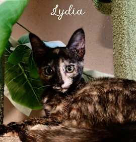 Photo of Lydia