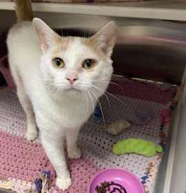 Photo of Bruce Banner