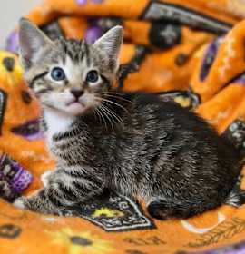 Photo of Lily